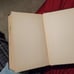 Antique Book, Rockefeller Giant, Dwarf, Symbol 1930, 1st edition