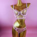 pink mesh Lingerie Set