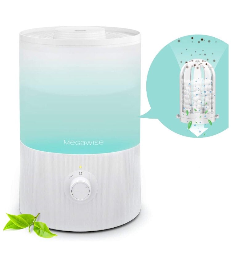Humidifier