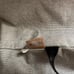 Dooney and Bourke Tote Purse EUC