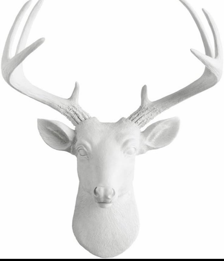 Wall Charmers White Deer Head, 21"
