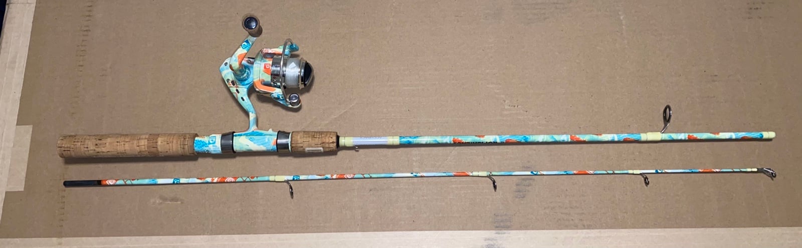 Fishing Rod and Reel