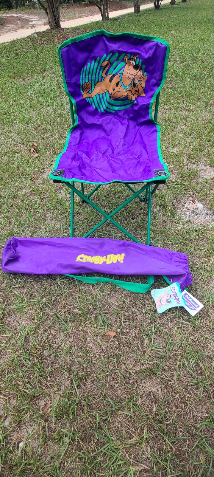 HANNA BARBERA Scooby Doo Kids Foldable Camp Chair Bag Cartoon Network 2001 Tags
