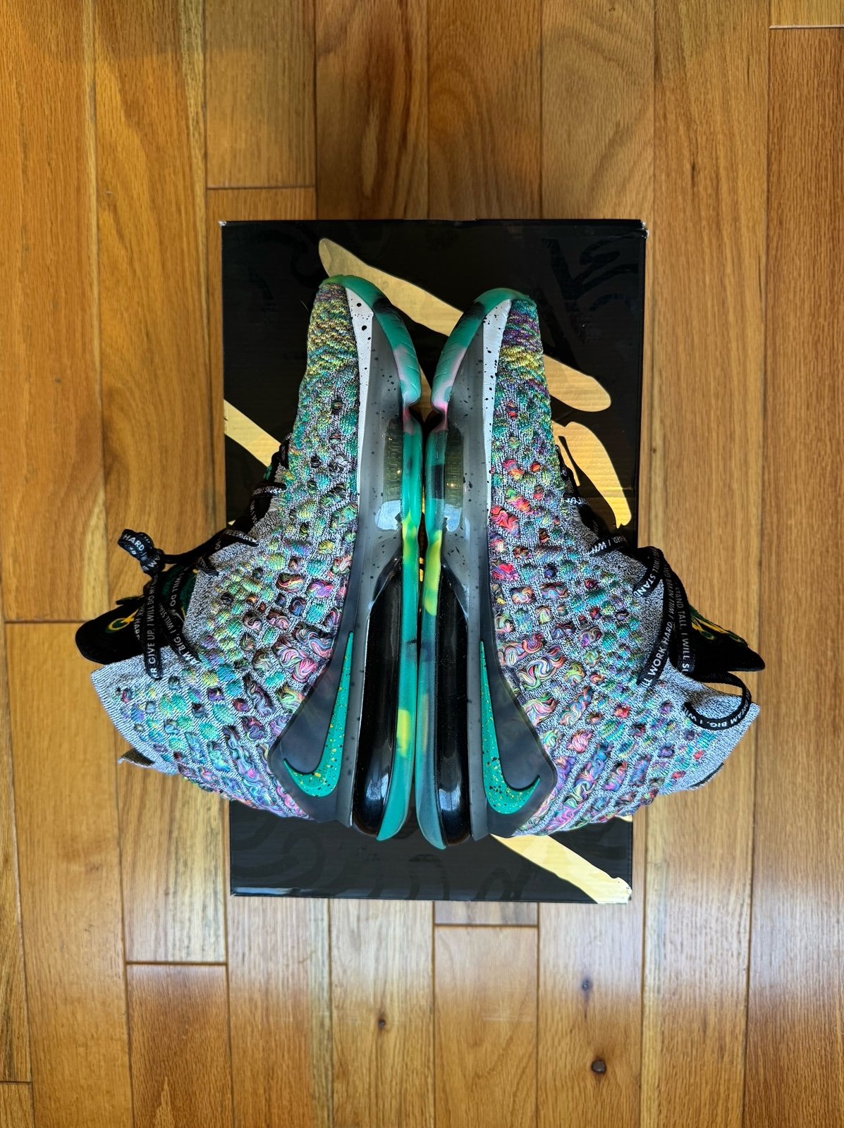 Nike LeBron 17 (LeBron XVII) I Promise Size 9 Brand New