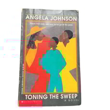 Scholastic Toning The Sweep By Angela Johnson Paperback Signed by Author