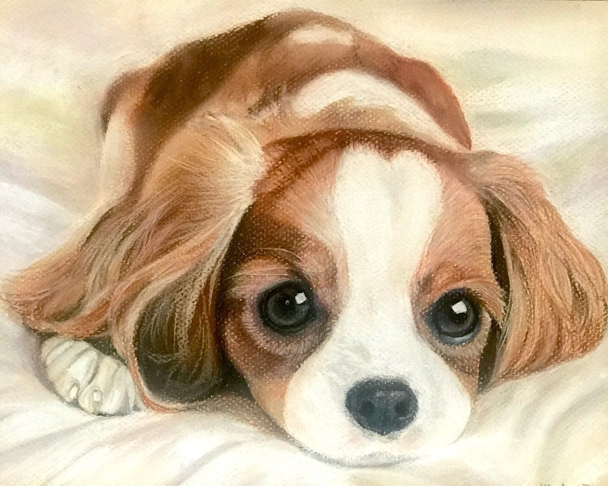 Original pastel drawing of a puppy