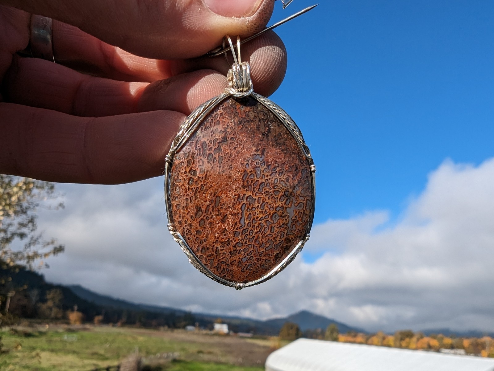 Dinosaur Bone Wrapped in Sterling Silver