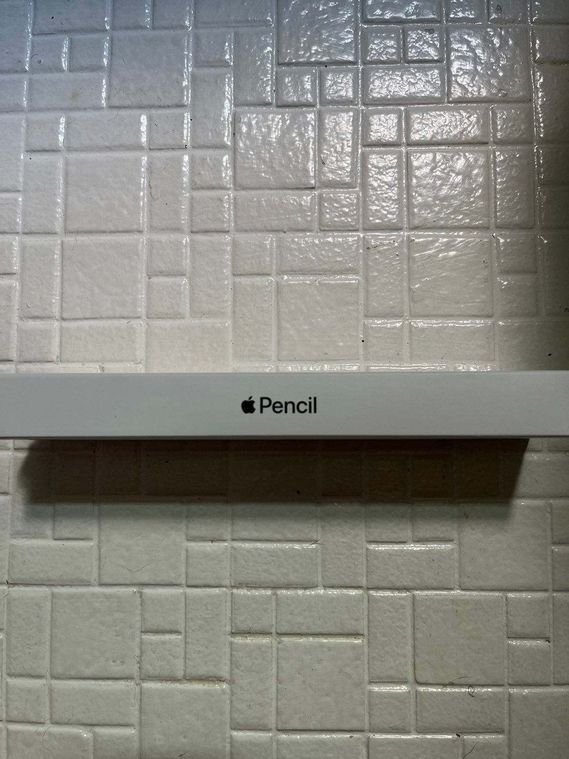 Apple Pencil (1st Generation)