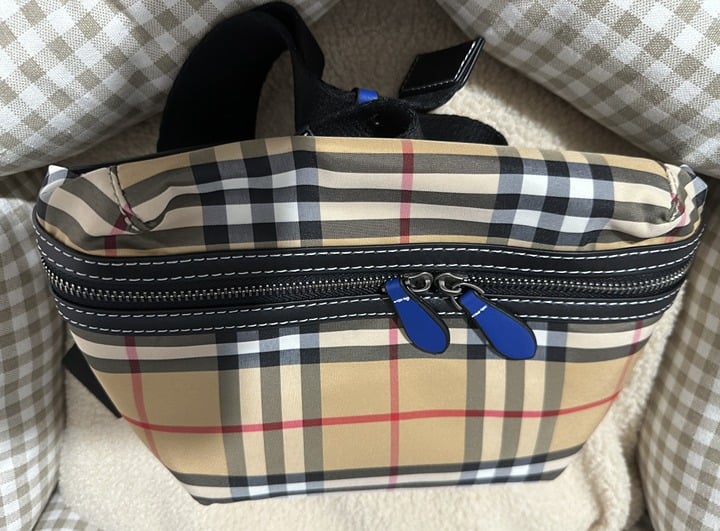 Waist Bags & Fanny Packs