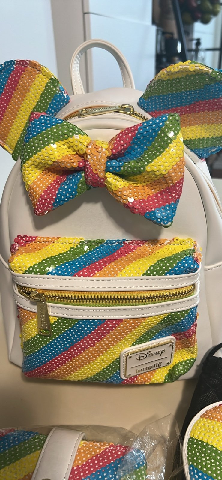 Loungefly Disney Rainbow bag / wallet / ears