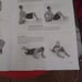 Red CX Work Out-Bench; Owner's Manual!