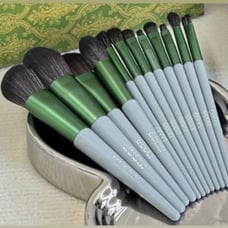 Brush Set - comes with box and case Brand new