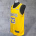 Nike LeBron James Lakers Jersey #23 Wish Swingman Yellow NBA Men's