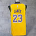 Nike LeBron James Lakers Jersey #23 Wish Swingman Yellow NBA Men's