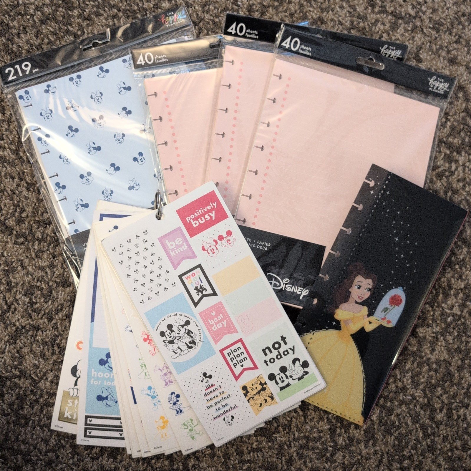 Happy planner Disney lot