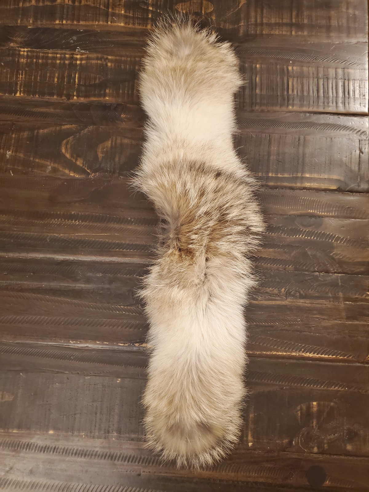 Coyote fur coat hood ruff genuine tanned 24