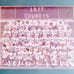 Super Bowl Champion 1977 Dallas Cowboys Team Photograph