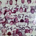 Super Bowl Champion 1977 Dallas Cowboys Team Photograph