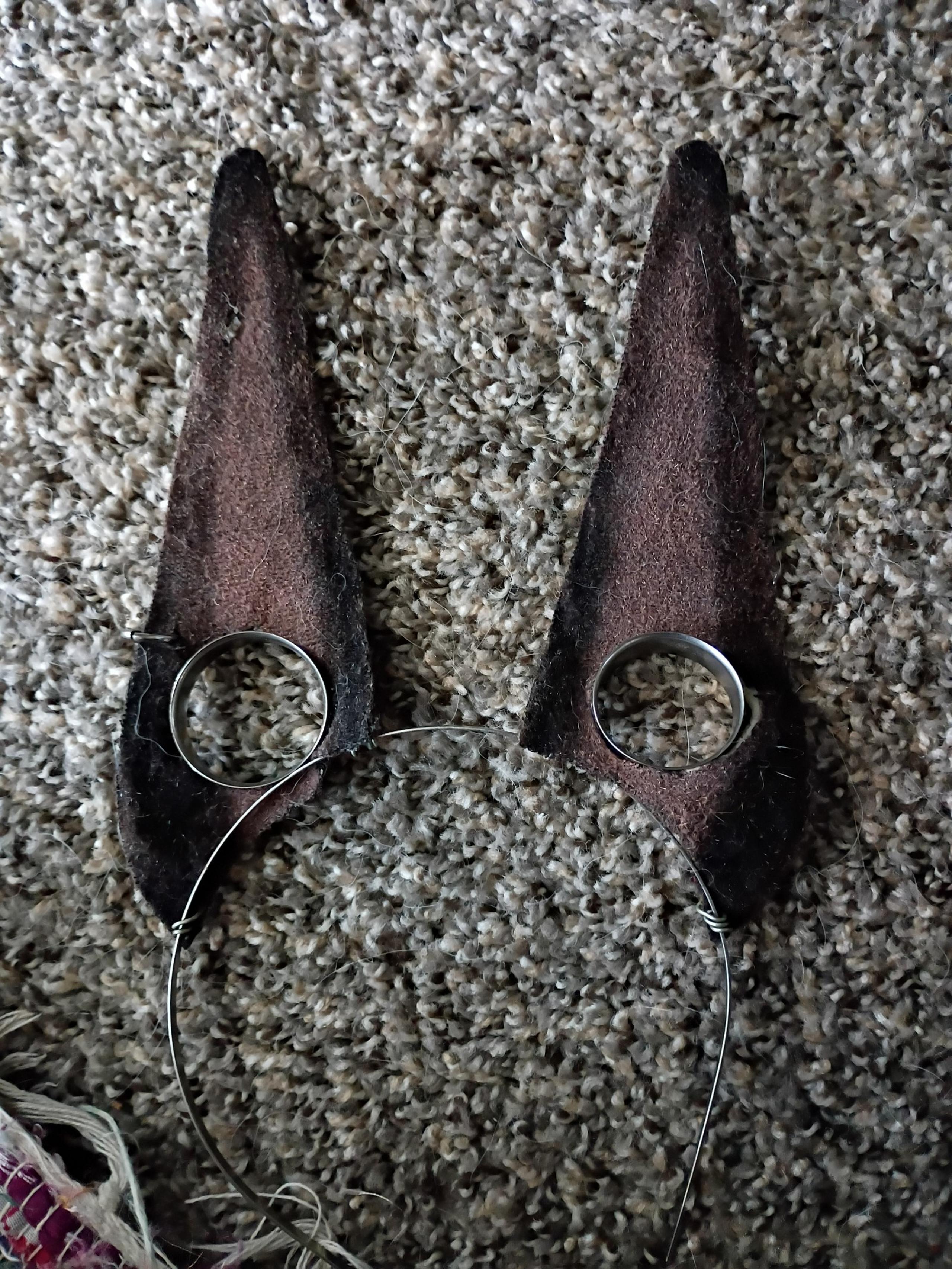 Doberman ears