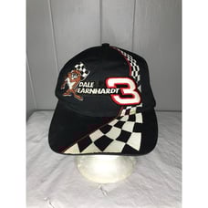 Dale Earnhardt #3 Tasmanian Devil Taz Looney Tunes Hat Cap Adult Snap Racing VTG