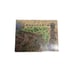 Baldur's Gate: Forgotten Realms for PC, Big Box, Vintage 1998 COMPLETE EUC