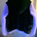 SHACI jacket