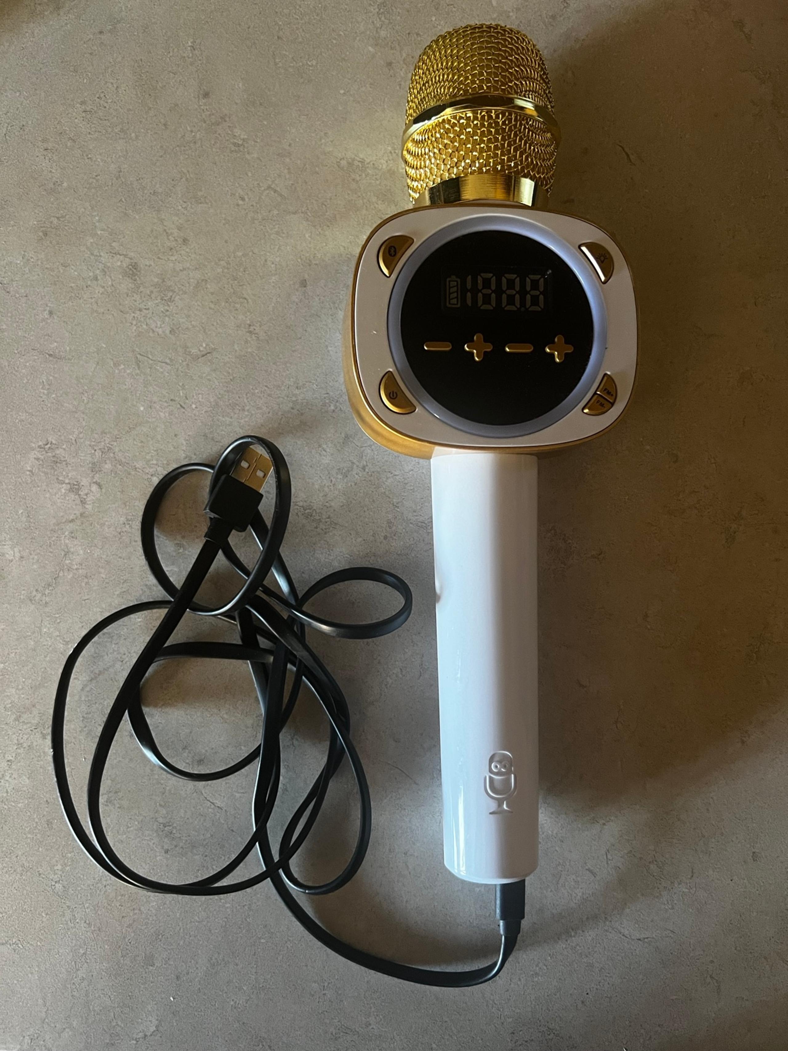 Carpool Karaoke Mic
