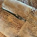 Snake skin print jacket NWT