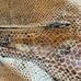 Snake skin print jacket NWT