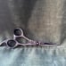 FOXY ROXY 5.5” Straight