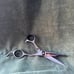 FOXY ROXY 5.5” Straight