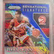 Dominique wilkens auto