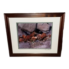 Patricia Gutsch Piled Petrified Wood Forest Arizona Framed Image 16 X 13