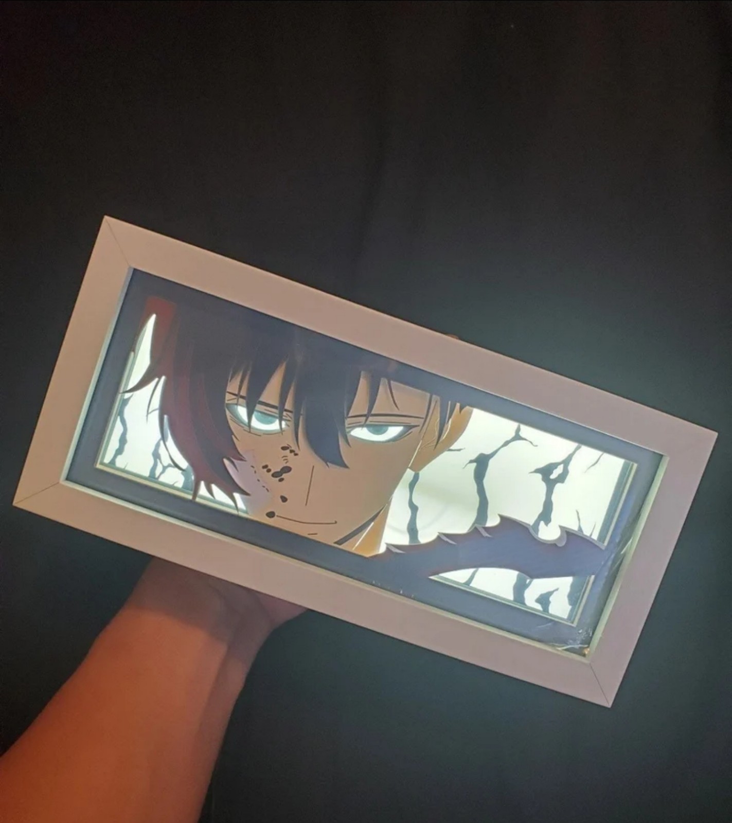 Solo Leveling Sung Jinwoo Light Box