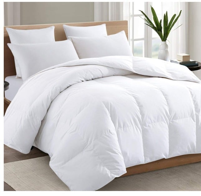 #BB108 TEXARTIST Premium 2100 Series Oversized Queen Comforter All Season Br
