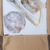Brand new pendant light
