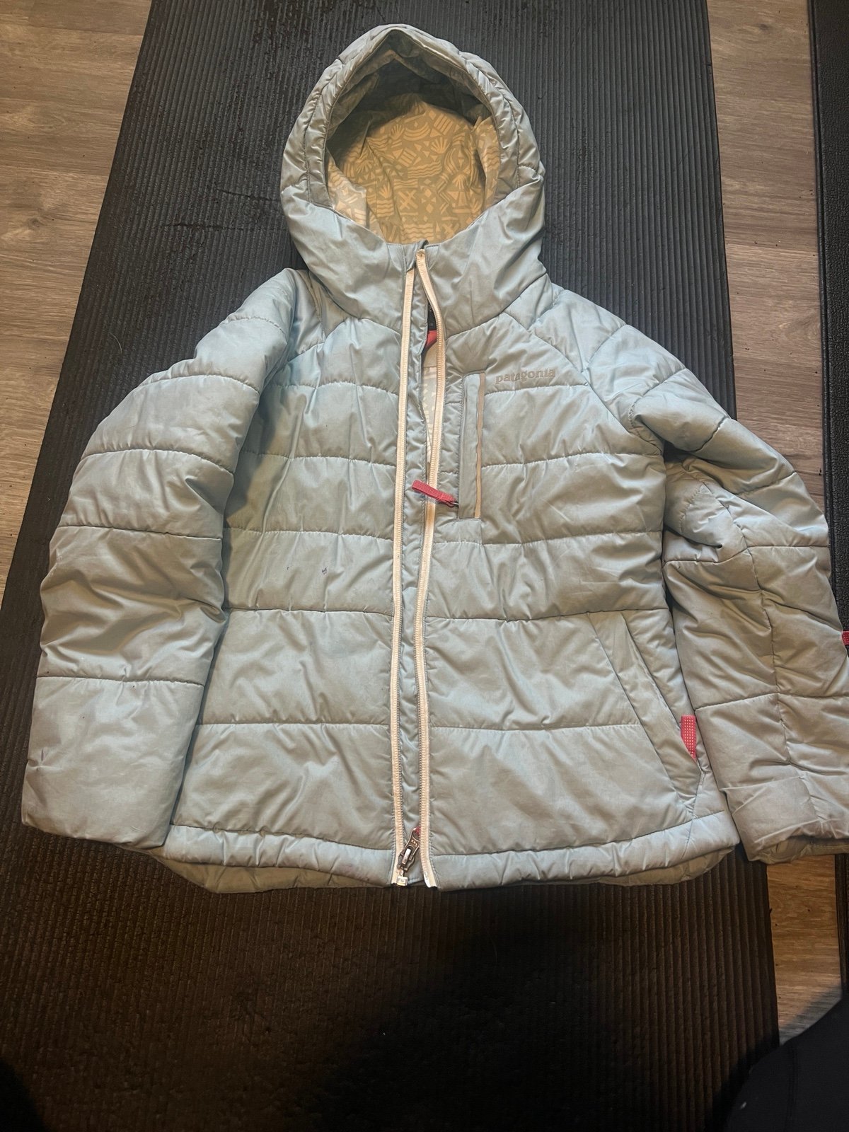 Warm Patagonia ski coat