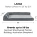 dog beds
