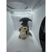WISE the Graduation Owl TY Beanie Baby–1998 Original, MINT & SUPER RARE W/ERRORS