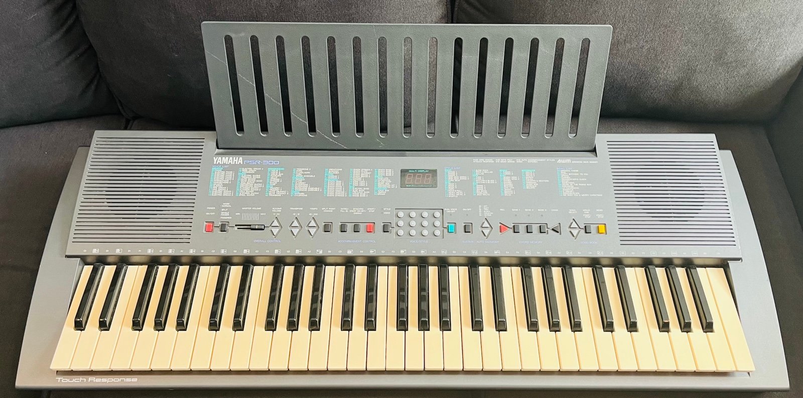 Yamaha PSR-300 61-Key Electronic Piano With Power Cord