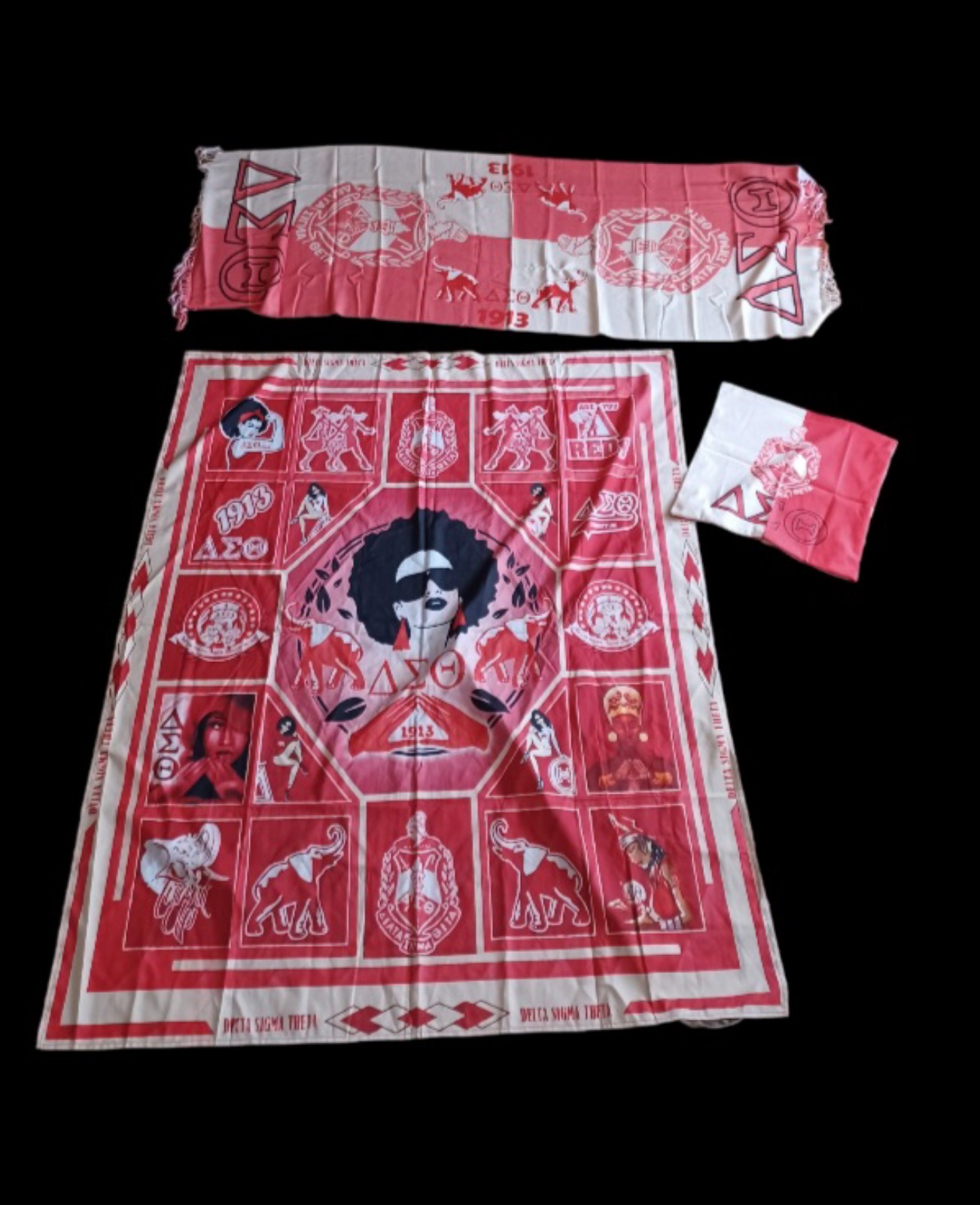 Delta sigma theta bundle new