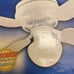 Ceiling Fan