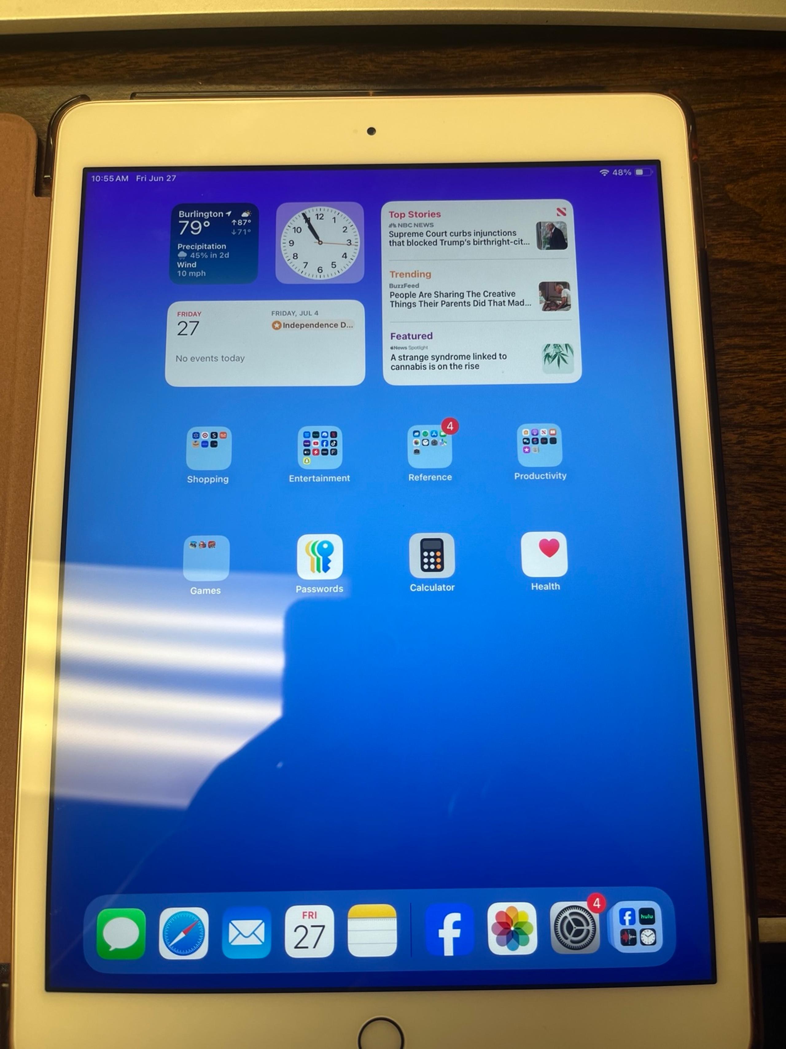 Apple iPad