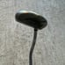Odyssey Putter 33” White Hot XG 5 New Grip