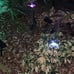 Solar Garden Lights 6 Pack Solar Butterfly Outdoor Decorations