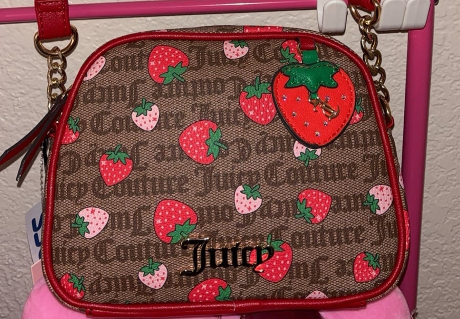 Juicy Couture camera bag