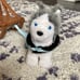 American girl doll sled