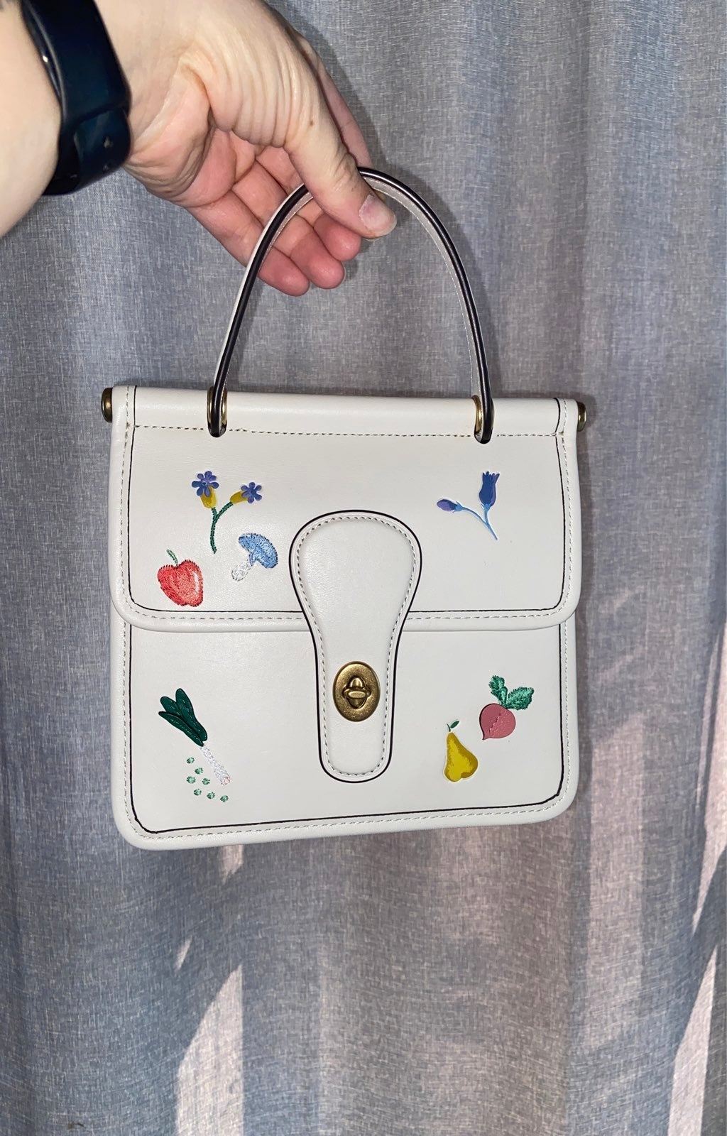 Coach Willis Top Handle Garden Satchel