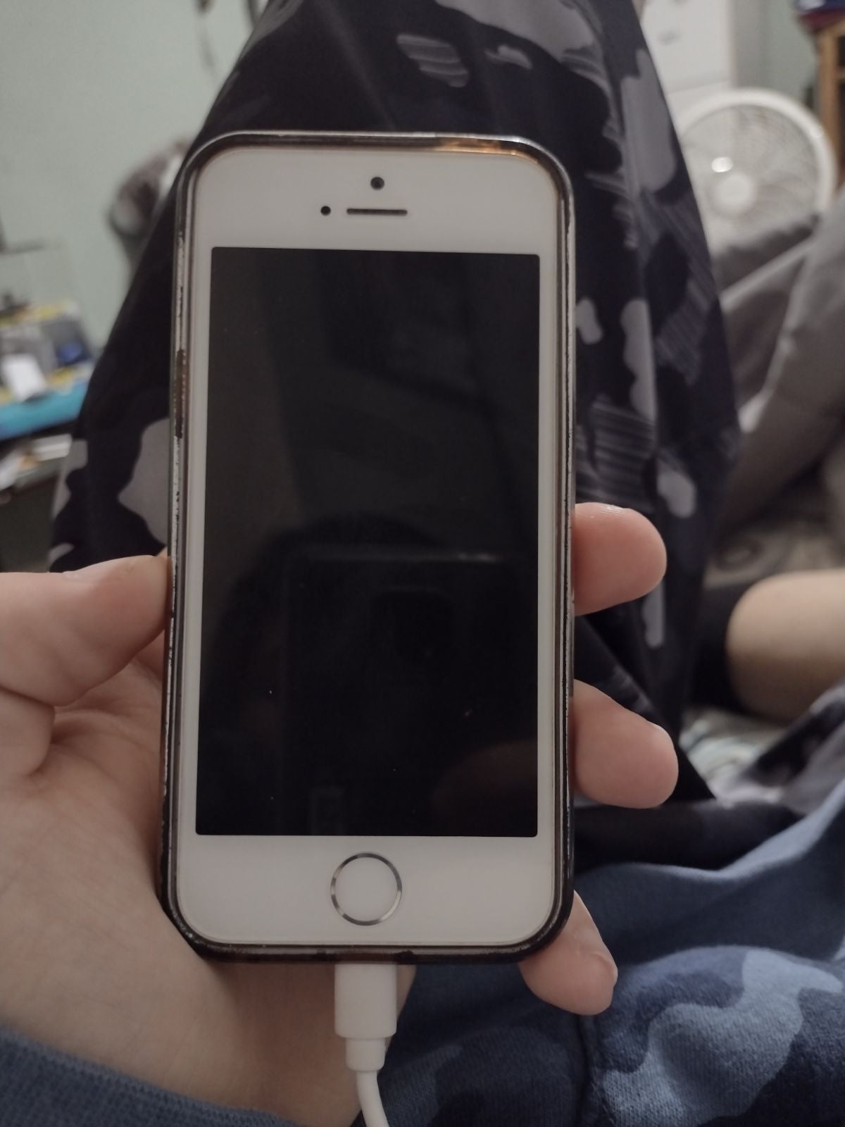 iPhone 5s Silver