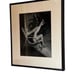 Framed Frank Worth Black & White Marilyn Monroe Photograph Picture